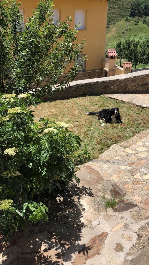 Casa Sierra De Gredos Guest House Navasequilla Ngoại thất bức ảnh