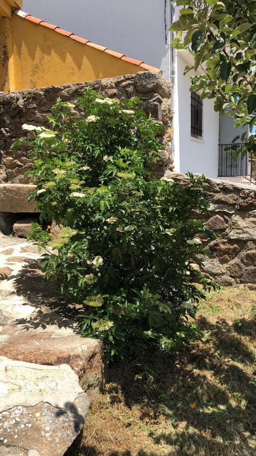 Casa Sierra De Gredos Guest House Navasequilla Ngoại thất bức ảnh