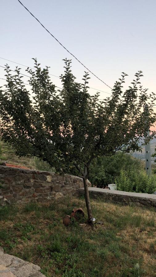 Casa Sierra De Gredos Guest House Navasequilla Ngoại thất bức ảnh