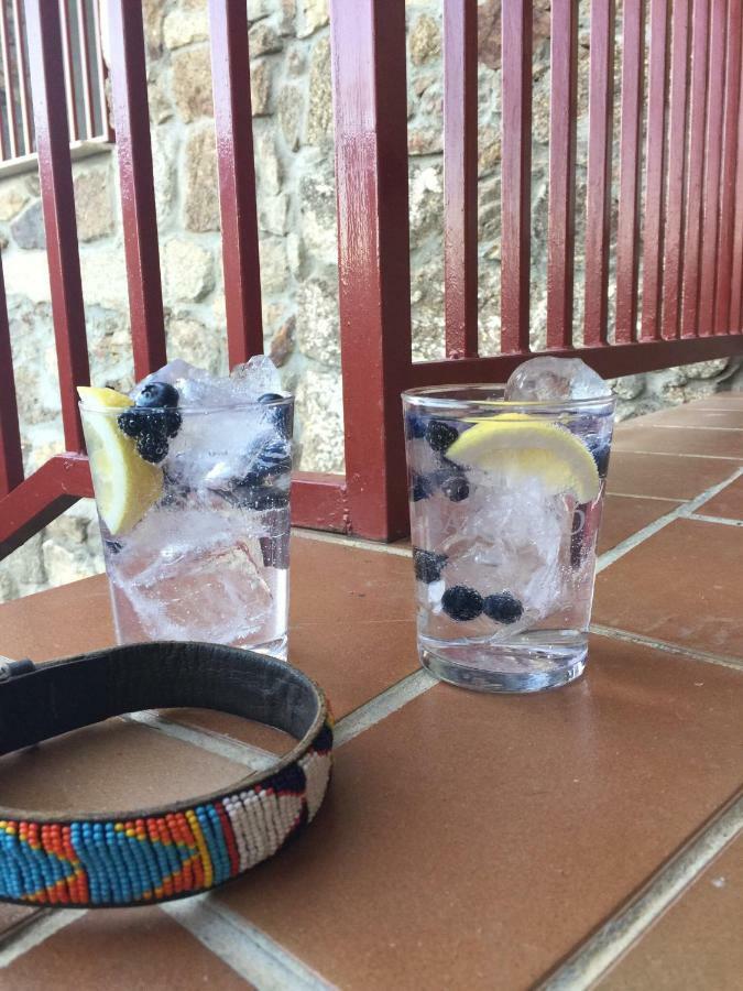Casa Sierra De Gredos Guest House Navasequilla Ngoại thất bức ảnh